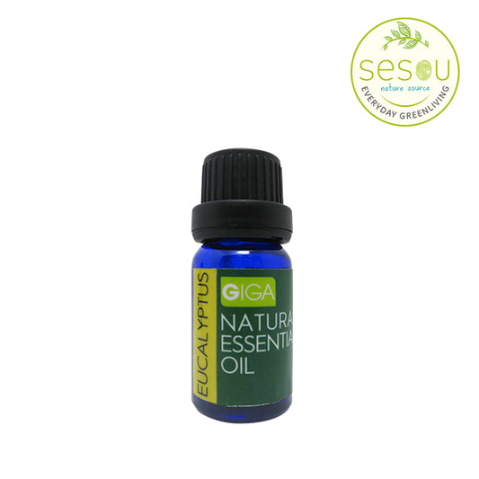 Aromatherapy Essential Oil Eucalyptus 10ml